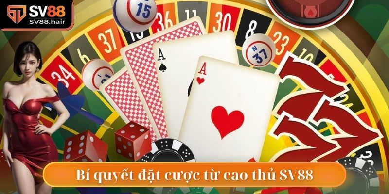 Bí quyết cá cược từ các cao thủ trong ngành