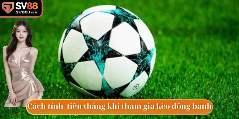 Hướng dẫn cách tính tiền thắng cược kèo đồng banh