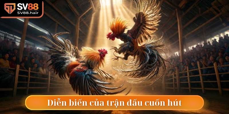 Diễn biến của đá gà đòn siêu cuốn hút