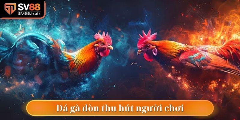 Trận đấu đá gà đòn thu hút đông thành viên tại SV88